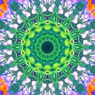 A colorful circular pattern with leaves - Images with Kaleidoscope24