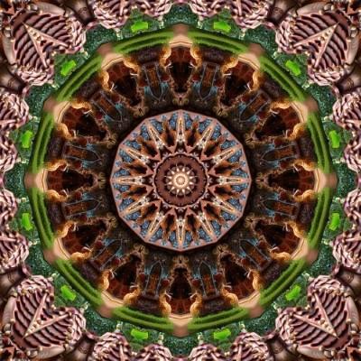 A colorful Image created with Kaleidoscope24.com
