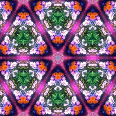 A colorful pattern of flowers - Images with Kaleidoscope24