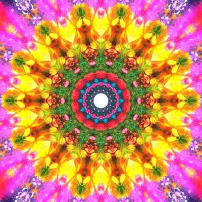 A colorful circular pattern with flowers - Images with Kaleidoscope24